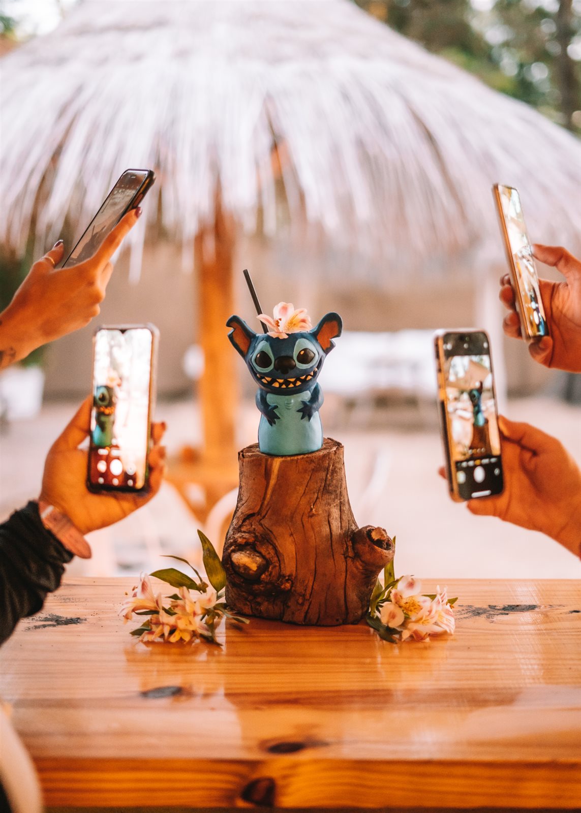 Tragos y Coctelería Tiki — foto 7